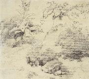 Study for a Foreground,a Bank with Weeds and Thistles Thomas Gainsborough